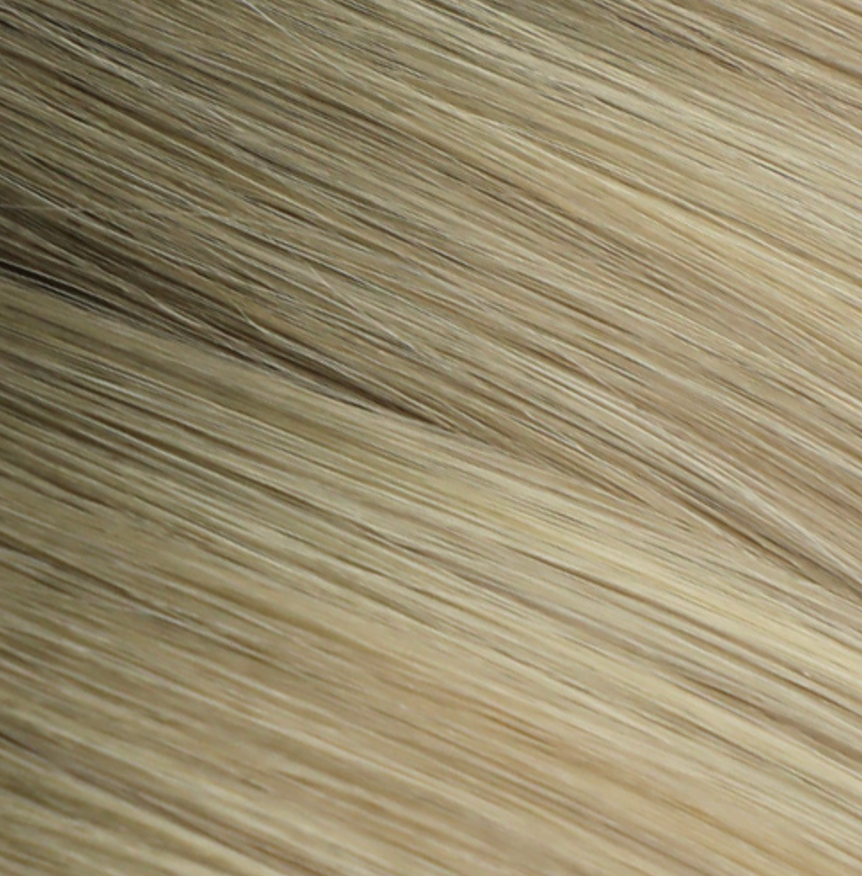 Rooted Golden Brown + Piano Bronde and Platinum Blonde